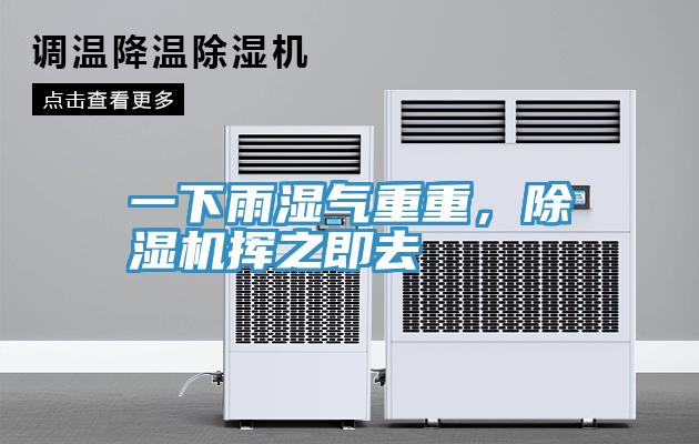 一下雨濕氣重重，除濕機(jī)揮之即去