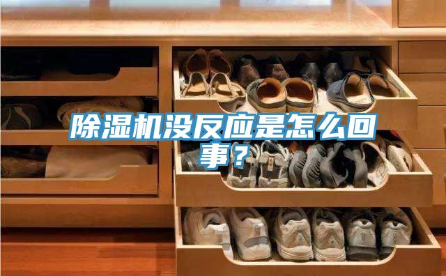 除濕機沒反應(yīng)是怎么回事？