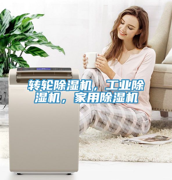 轉(zhuǎn)輪除濕機(jī)，工業(yè)除濕機(jī)，家用除濕機(jī)