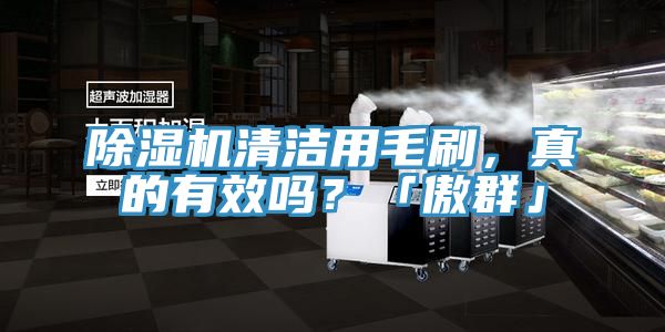 除濕機(jī)清潔用毛刷，真的有效嗎？「傲群」