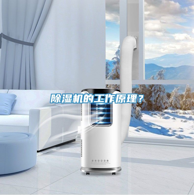 除濕機的工作原理？