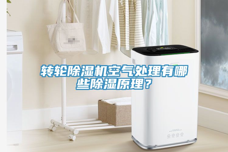轉(zhuǎn)輪除濕機空氣處理有哪些除濕原理？
