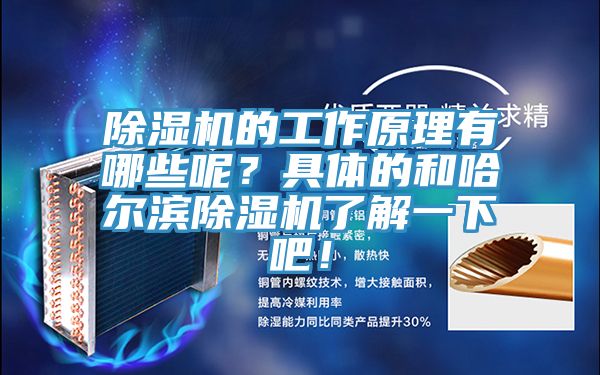 除濕機的工作原理有哪些呢？具體的和哈爾濱除濕機了解一下吧！